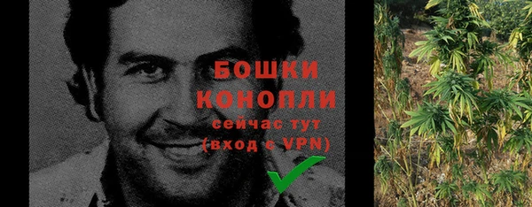 PSILOCYBIN Белоозёрский