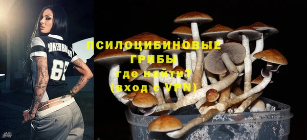винт Беломорск